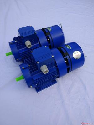 山南MS5622三相異步電機廠家批發圖片|山南MS5622三相異步電機廠家批發產品圖片由上海市上海梁瑾(機電)設備公司生產提供-